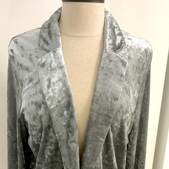 H & M Gray NWT Crushed Velvet Jacket size M - Picture 4 of 17